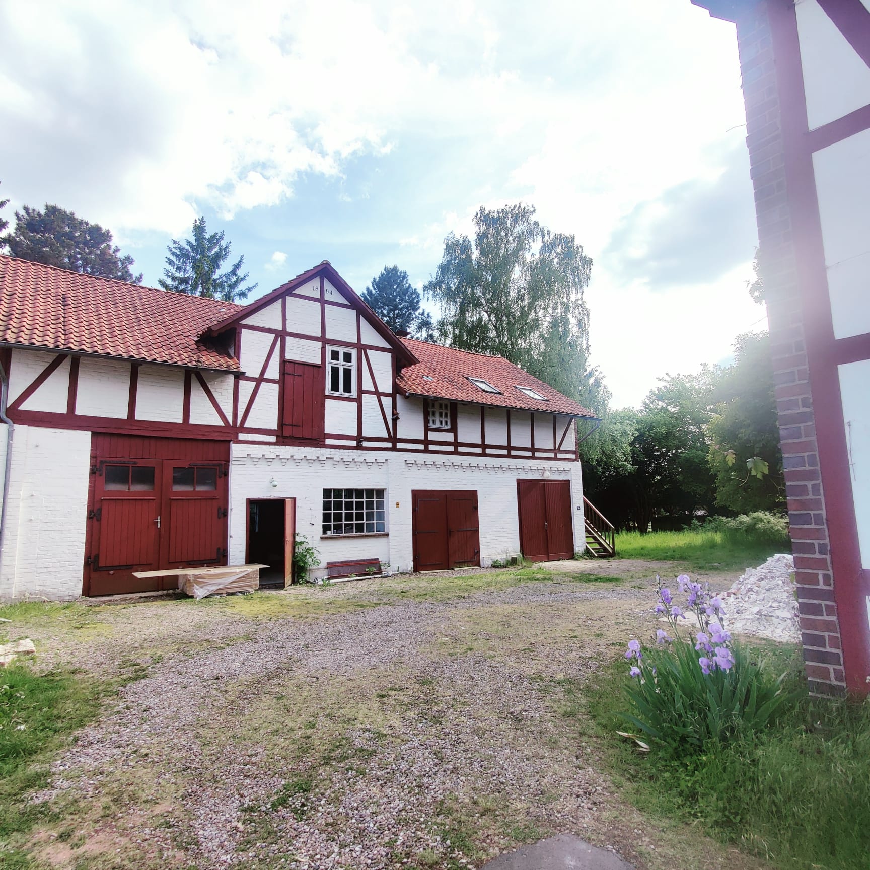 Verwilderter Garten